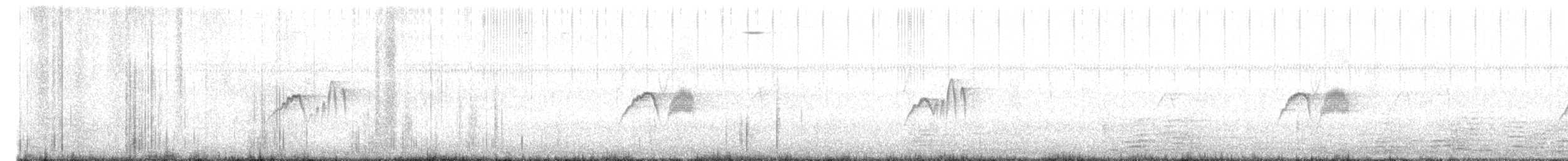 Weißbauch-Phoebetyrann - ML646125290