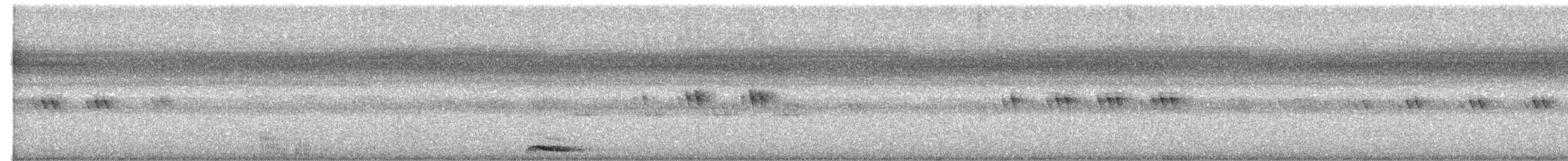 Collared Scops-Owl - ML646126453