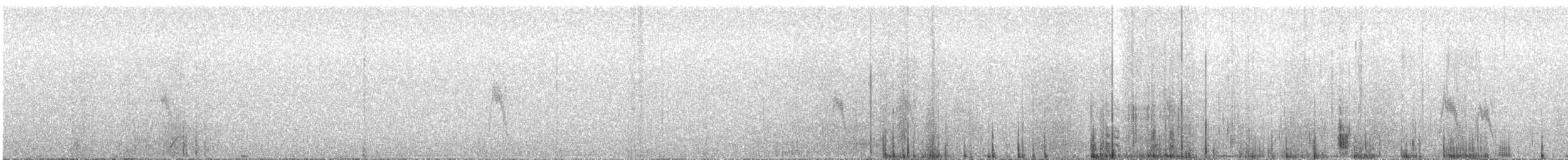 Richard's Pipit - ML646126576