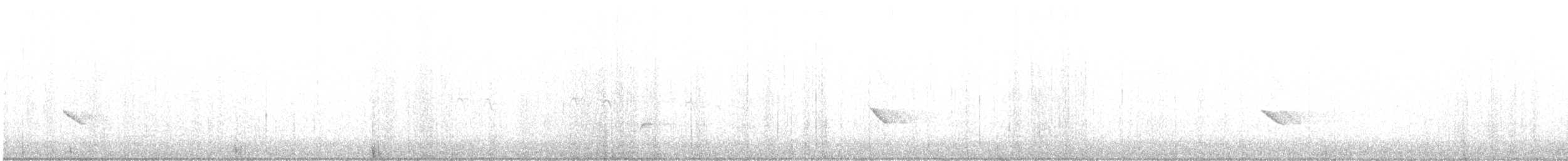 Olive Warbler - ML646127016