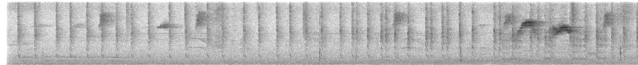 Rufous-tailed Hummingbird - ML646127062