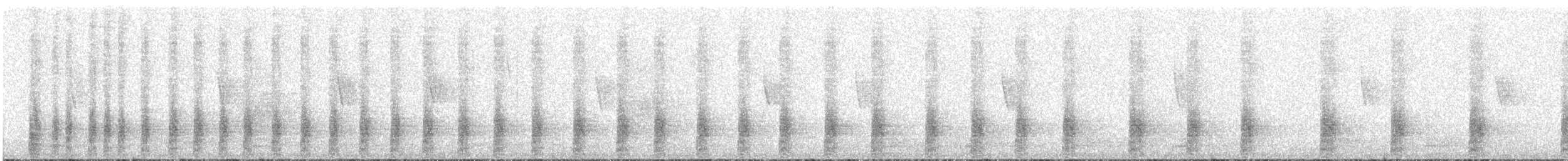 Eastern Gray Squirrel - ML646128519