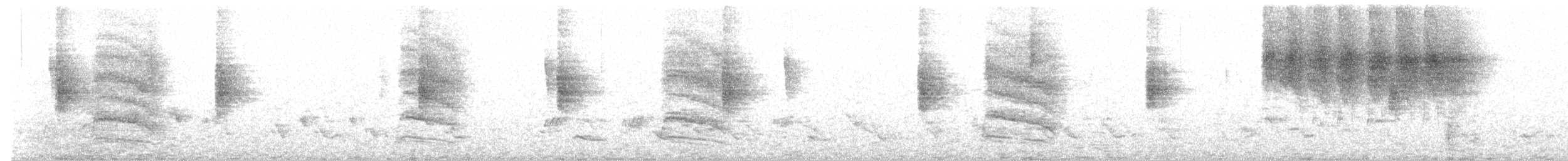 Miaulari grisa - ML646129419