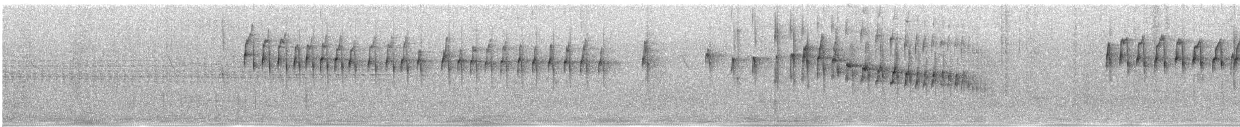 Araucaria Tit-Spinetail - ML646129616