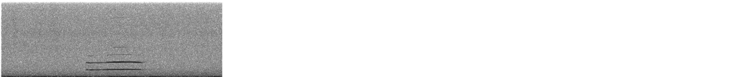 Northern Saw-whet Owl - ML646129787