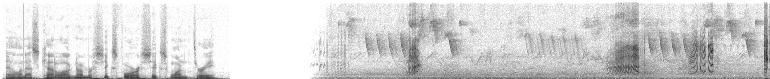 キボウシインコ - ML64613