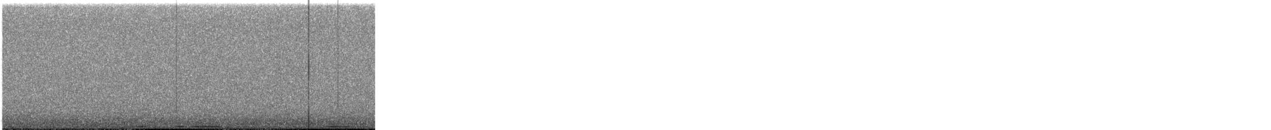 Hontz virginiarra - ML646130281