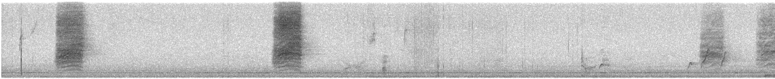 Woodhouse's Scrub-Jay - ML646130852