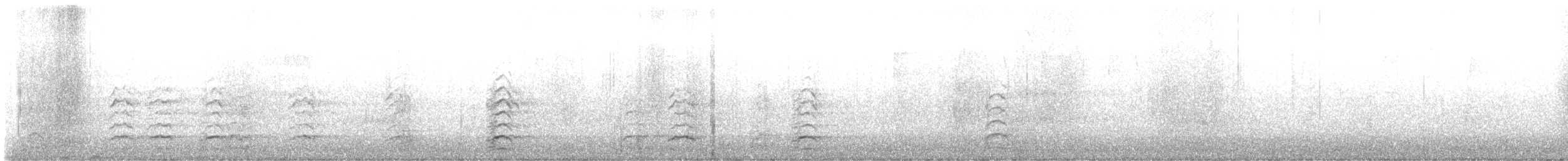 Snow Goose - ML646131626