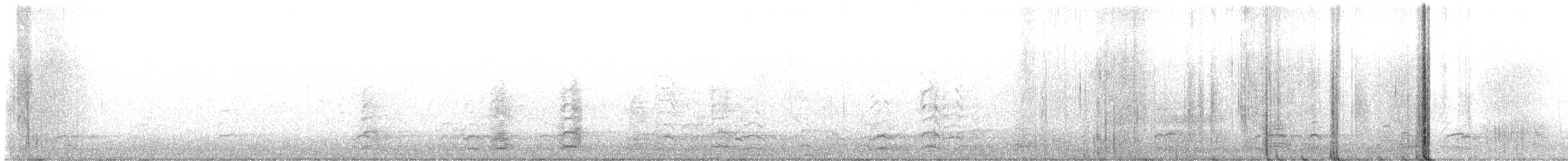 Snow Goose - ML646131627