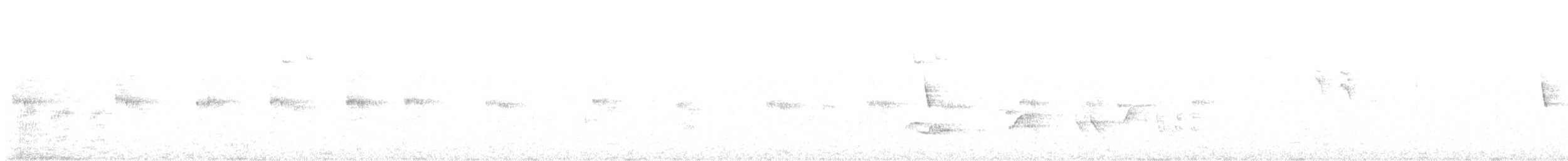 White-throated Treerunner - ML646132778