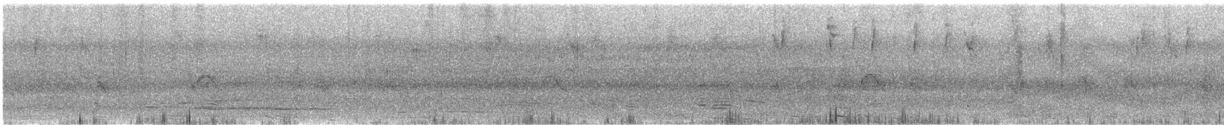 Lesser Elaenia - ML646132879