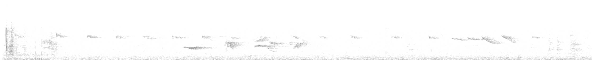 White-throated Treerunner - ML646132891