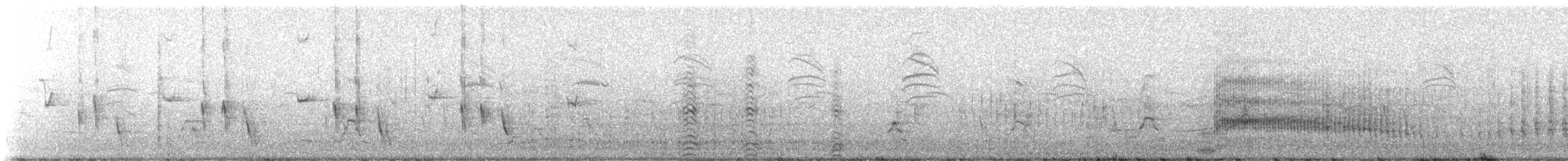 Galapagos Mockingbird - ML646132919