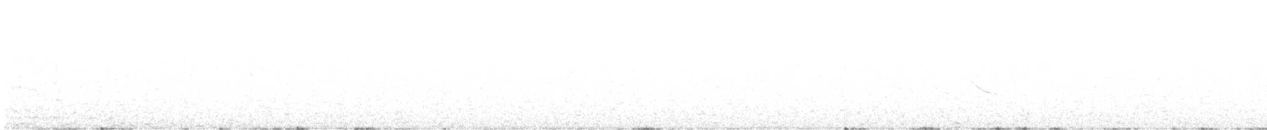 White-crested Elaenia - ML646132965