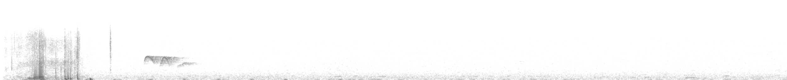 White-crested Elaenia - ML646133348