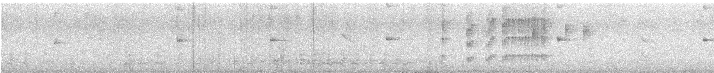 Pearly-vented Tody-Tyrant - ML646133510