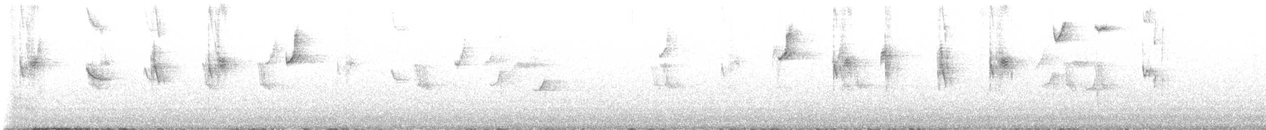 White-bellied Hummingbird - ML646133649