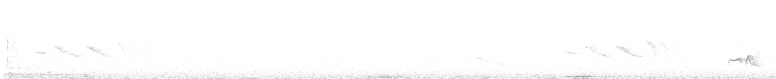 White-crested Elaenia - ML646133767