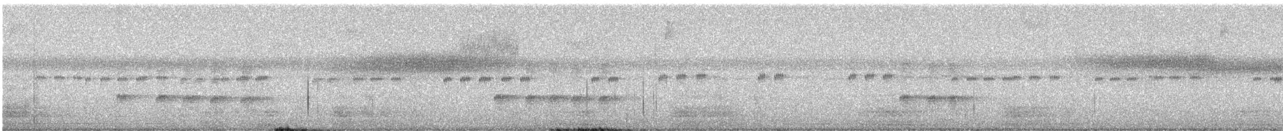 Scale-crested Pygmy-Tyrant - ML646134576