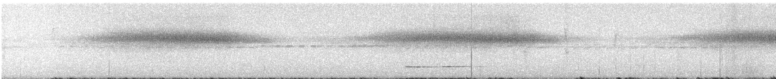 Rufous-breasted Antthrush - ML646134859