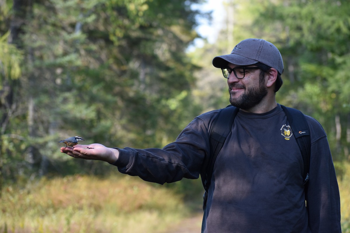 Red-breasted Nuthatch - ML646135561
