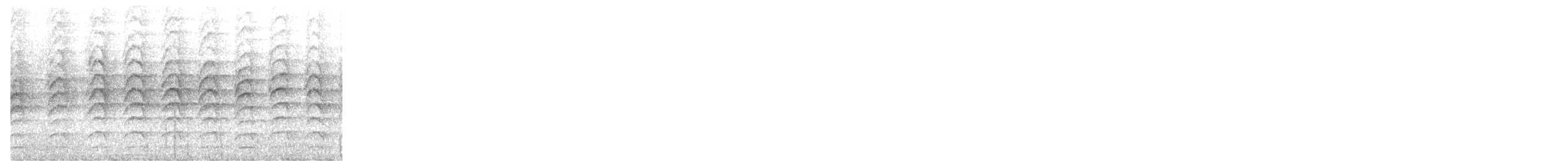 Cinnamon-browed Melidectes - ML646135871