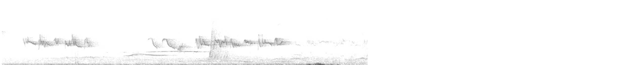 Eastern Whipbird - ML646136302