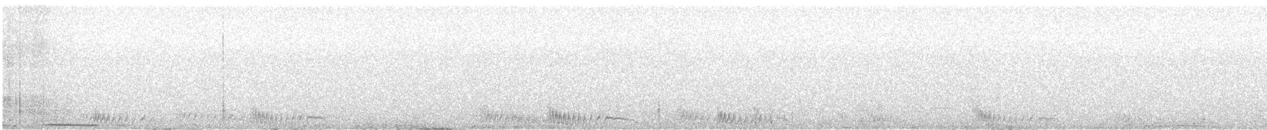 Black-bellied Sandgrouse - ML646136552