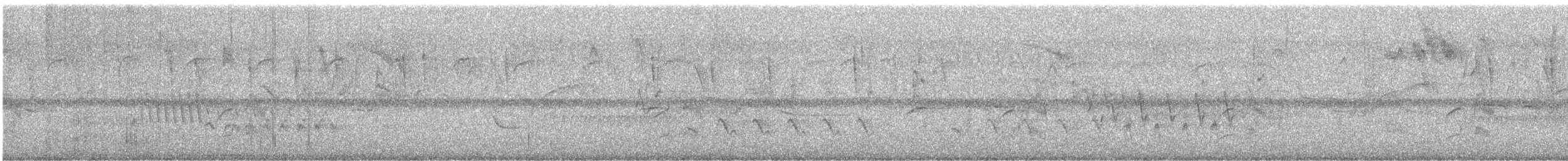 Black-striped Sparrow - ML646137290