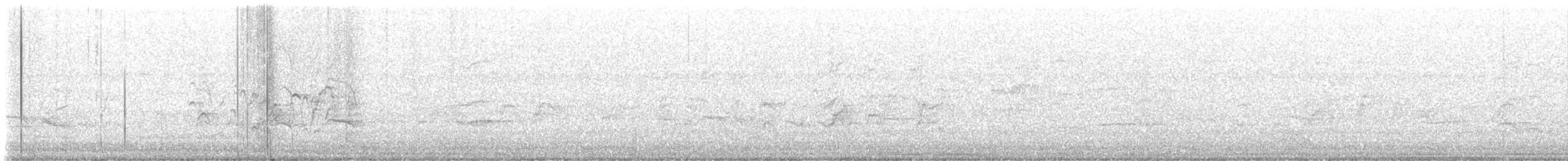 Black-bellied Whistling-Duck - ML646137894