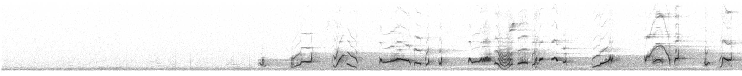 LeConte's Thrasher - ML646138232