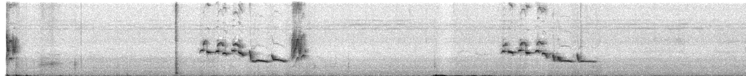 White-browed Scrub-Robin - ML646138414