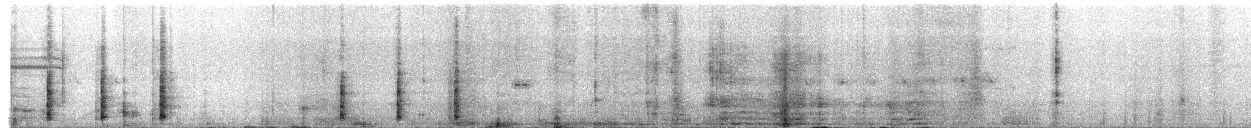 White-quilled Bustard - ML646138603