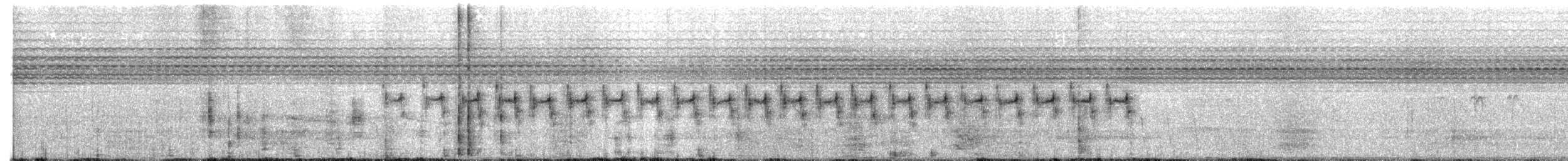 Black-chested Prinia - ML646138722