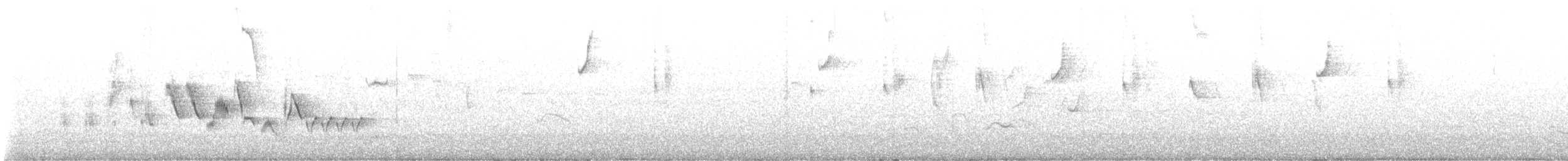 Chochín Criollo Sureño - ML646138935