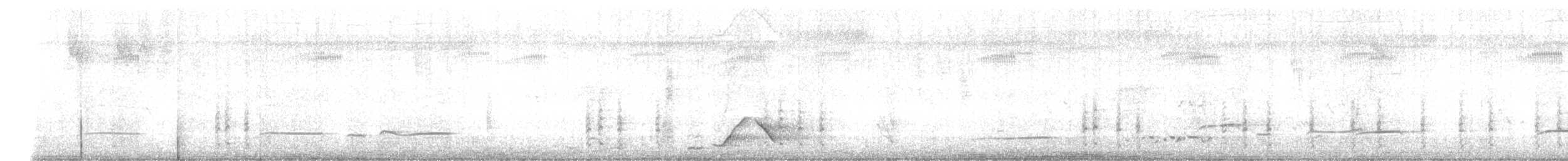 Polluela de Tongatapu - ML646139044