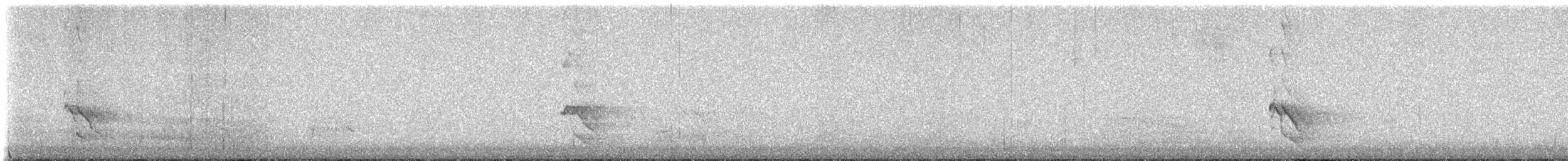 Carpintero Escapulario - ML646139390