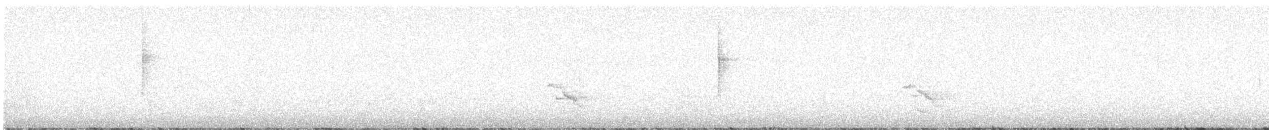 Townsend's Warbler - ML646140639