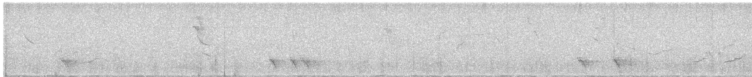 Black-chested Jay - ML646140651