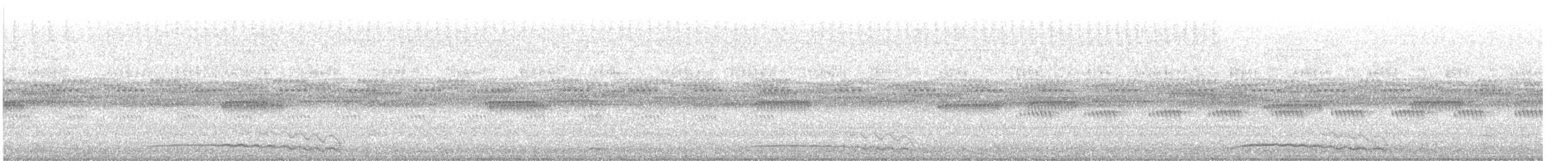 Восточноамериканская совка - ML646141710