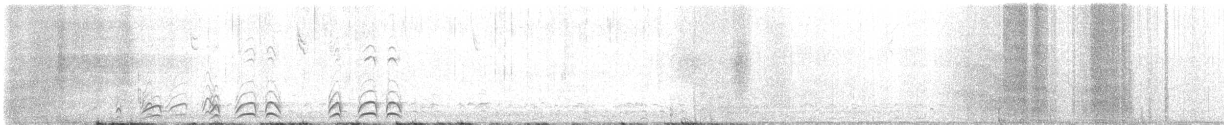 Калифорнийский перепел - ML646141918