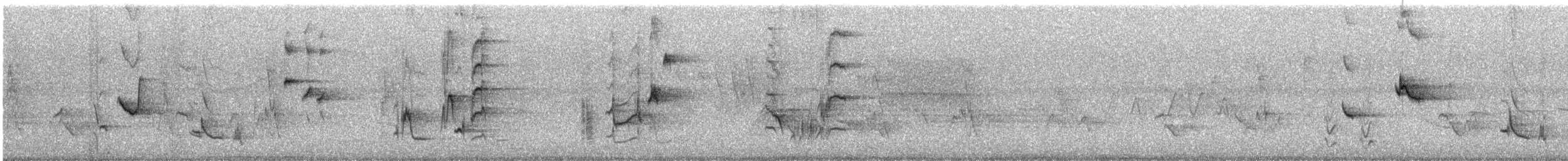 Кошачий пересмешник - ML646142335