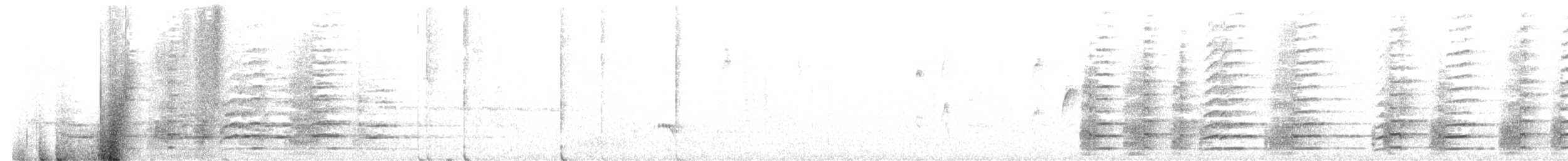 Чёрный куравонг - ML646142336