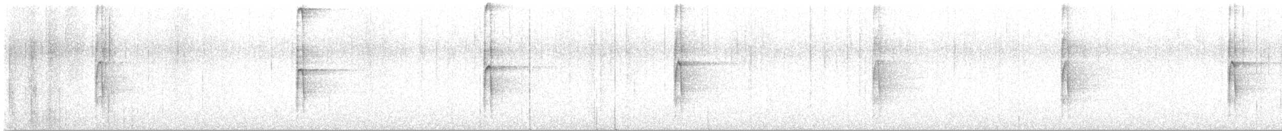 Волосатый дятел [группа harrisi] - ML646142501