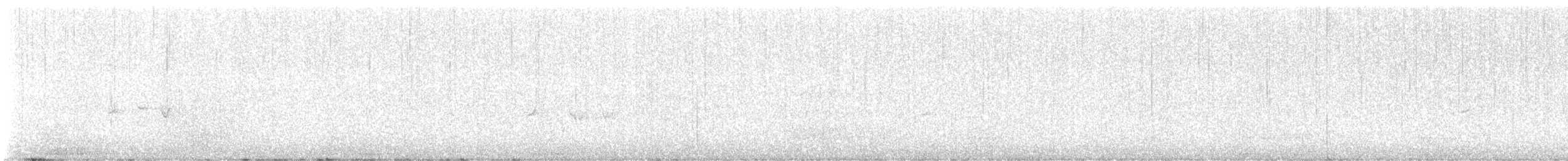 Щур - ML646142745