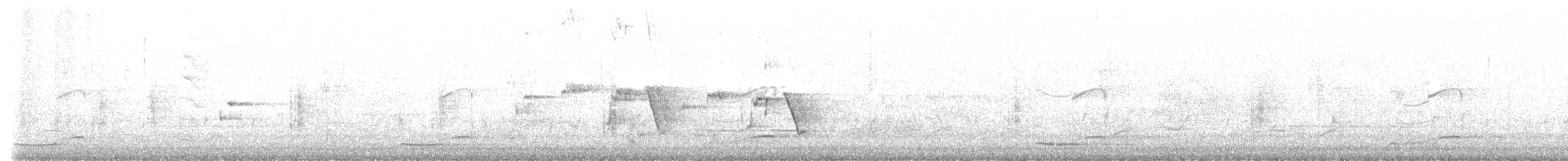 kukačka pacifická - ML646143072