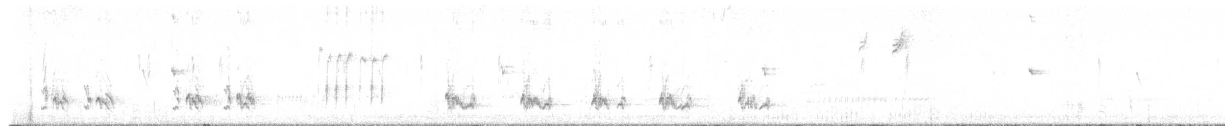 California Thrasher - ML646145471