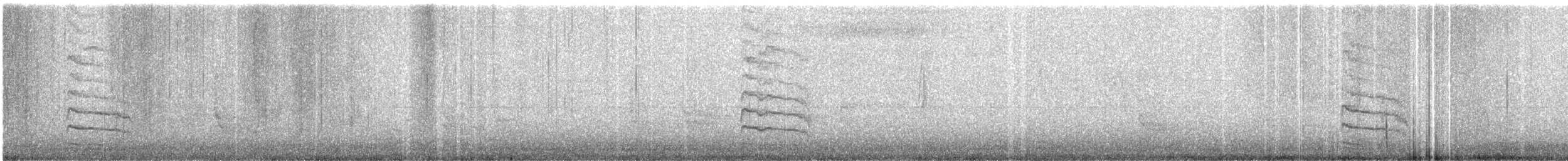 Yellow-bellied Sapsucker - ML646145562