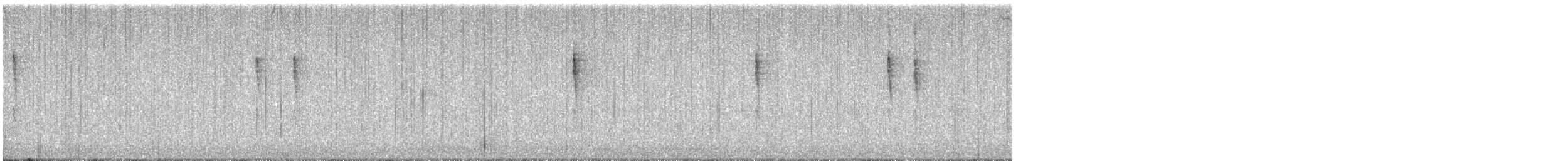 Pacific Wren - ML646145662